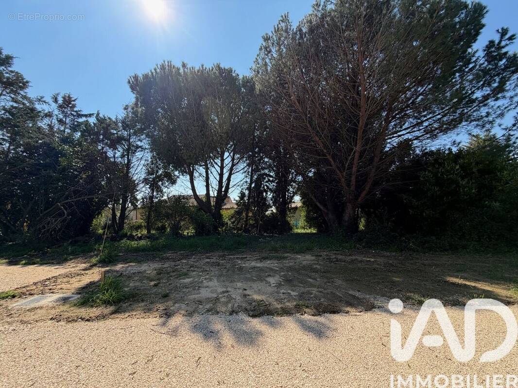 Photo 1 - Terrain à SAINT-QUENTIN-LA-POTERIE