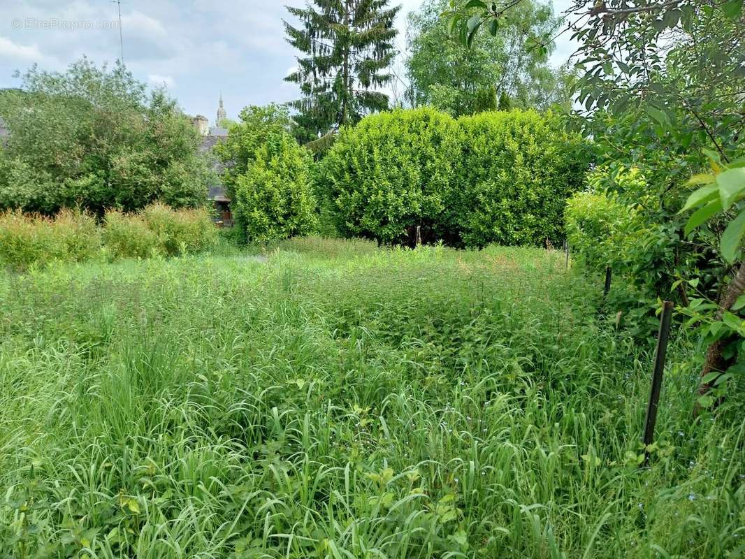 Terrain à SAINT-CARADEC