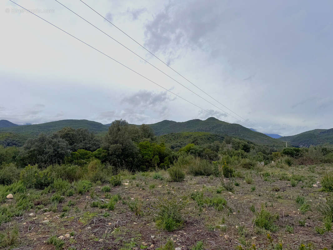 Terrain à GHISONACCIA