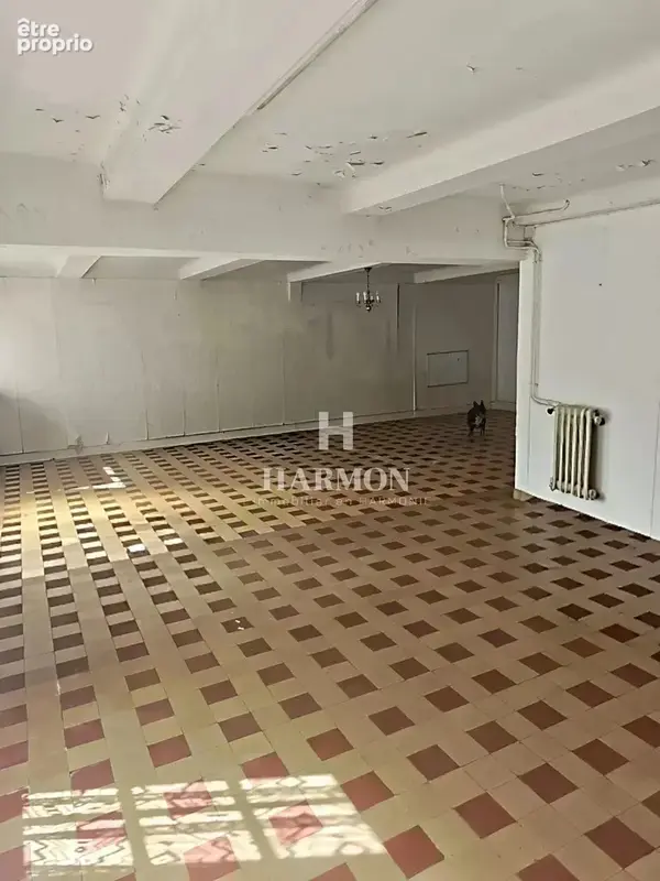 Grande maison de village à Castets, 9 chambres, clôturée - photo 29