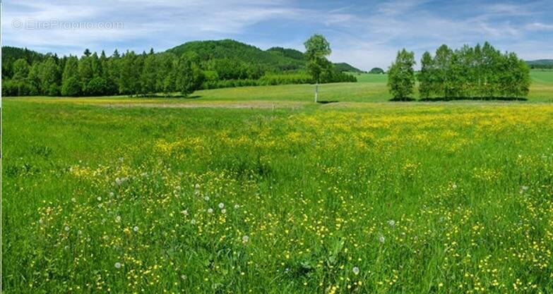 Terrain à FONTENILLES