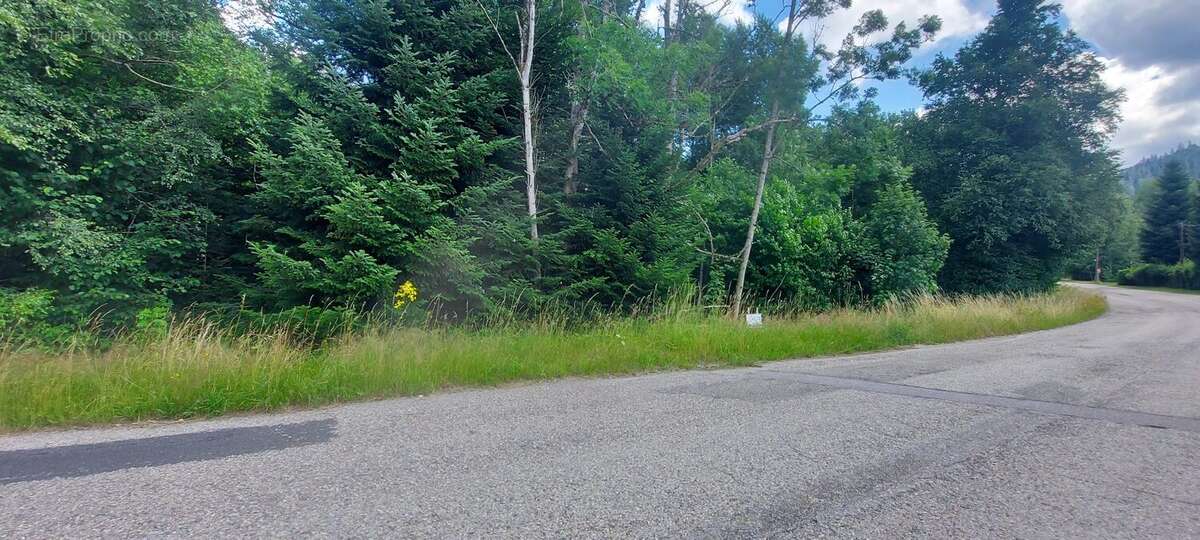 Terrain à GERARDMER
