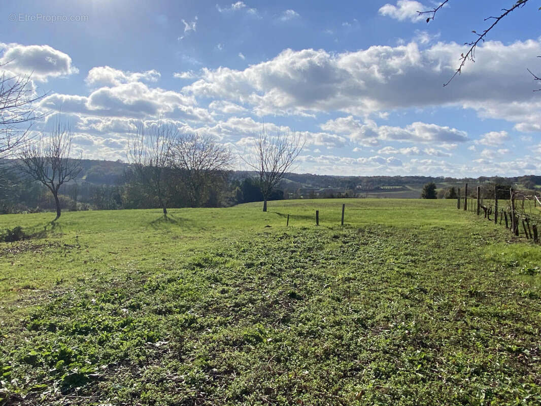 jardin et vue - Maison à CHATENET
