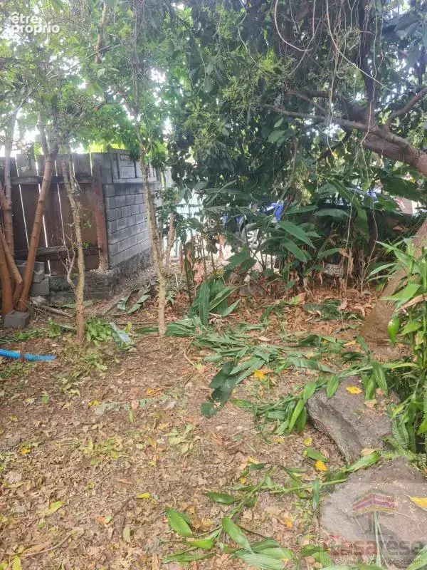 Maison 6 pièces 110 m² à vendre à Saint-Pierre (97432) - photo 2