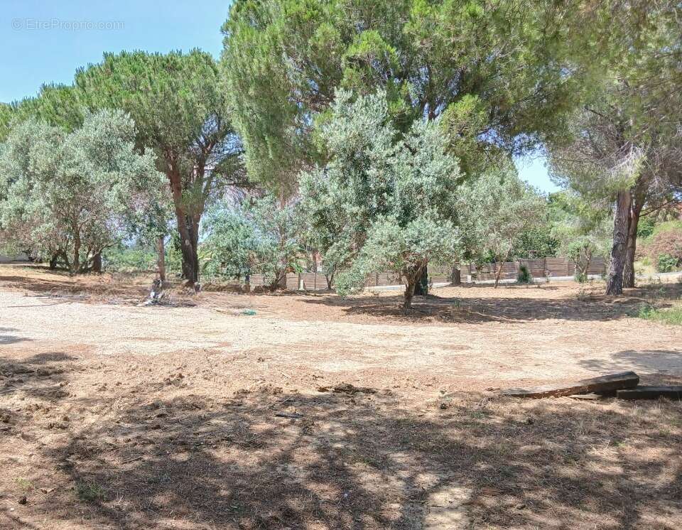 Terrain à PERPIGNAN