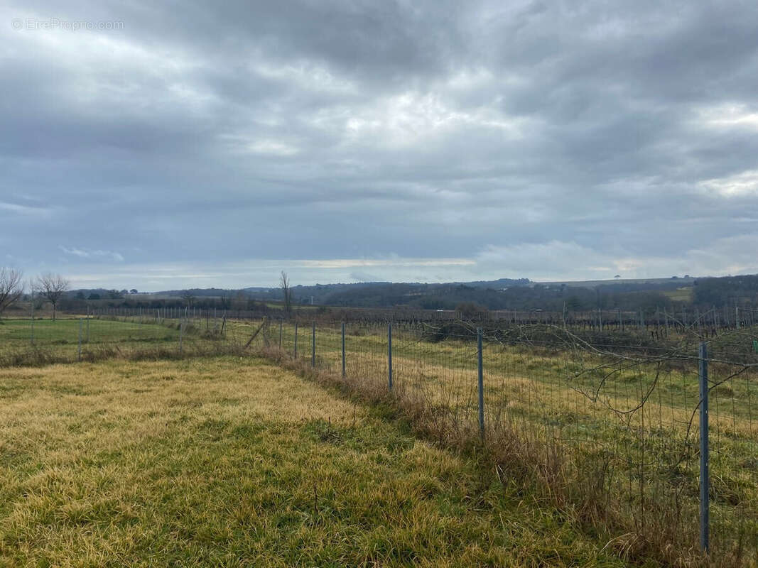 Terrain à PELLEGRUE