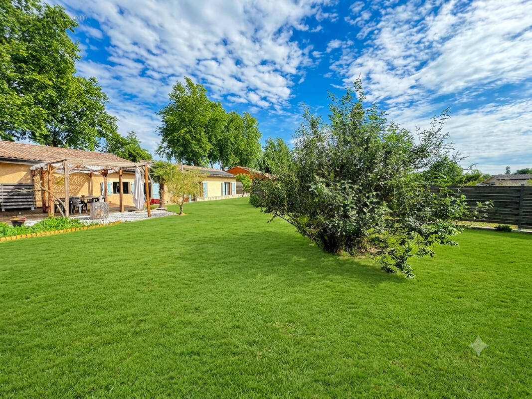 MAISON T5 de 163 M2 avec 823 M2 de terrain - photo 1