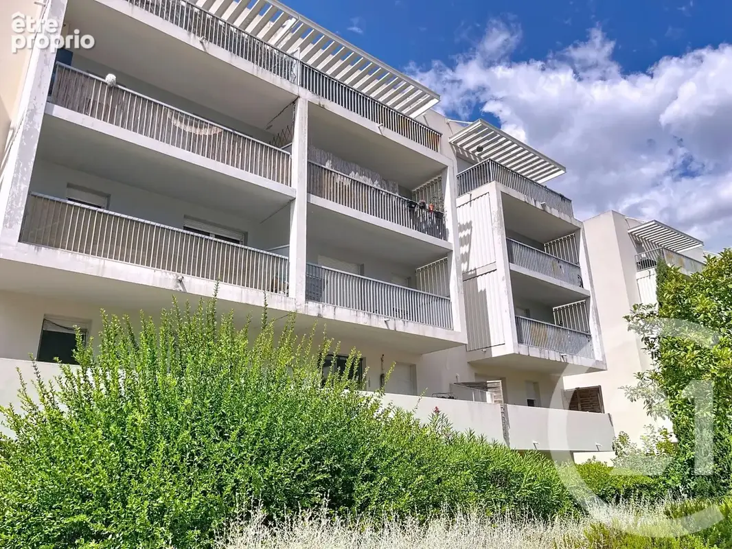 Photo 1 - Appartement à MONTPELLIER