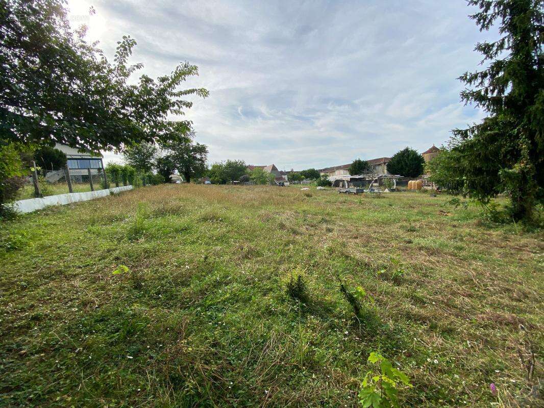 Terrain à SAINTE-ALVERE