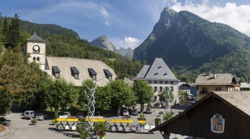Commerce à SAMOENS