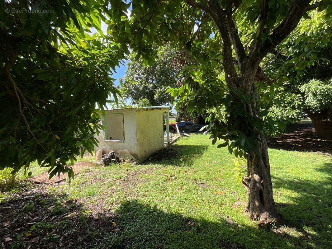 Terrain à BASSE-TERRE