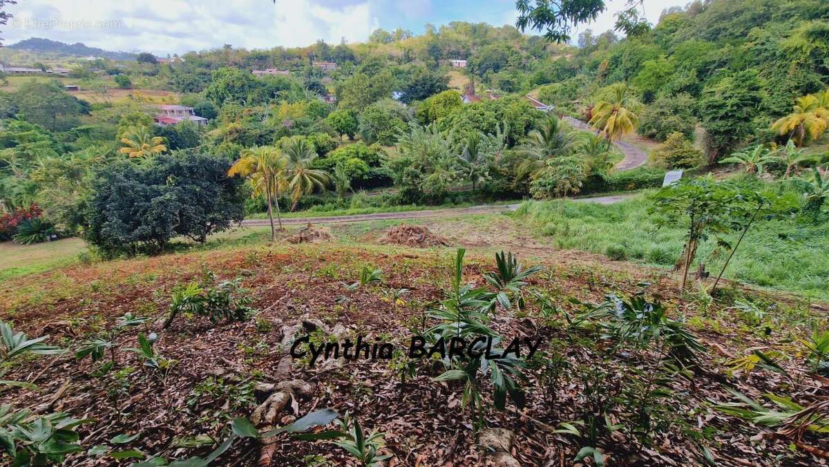 Terrain à LE FRANCOIS