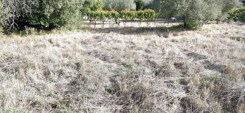 Terrain à LAURENS