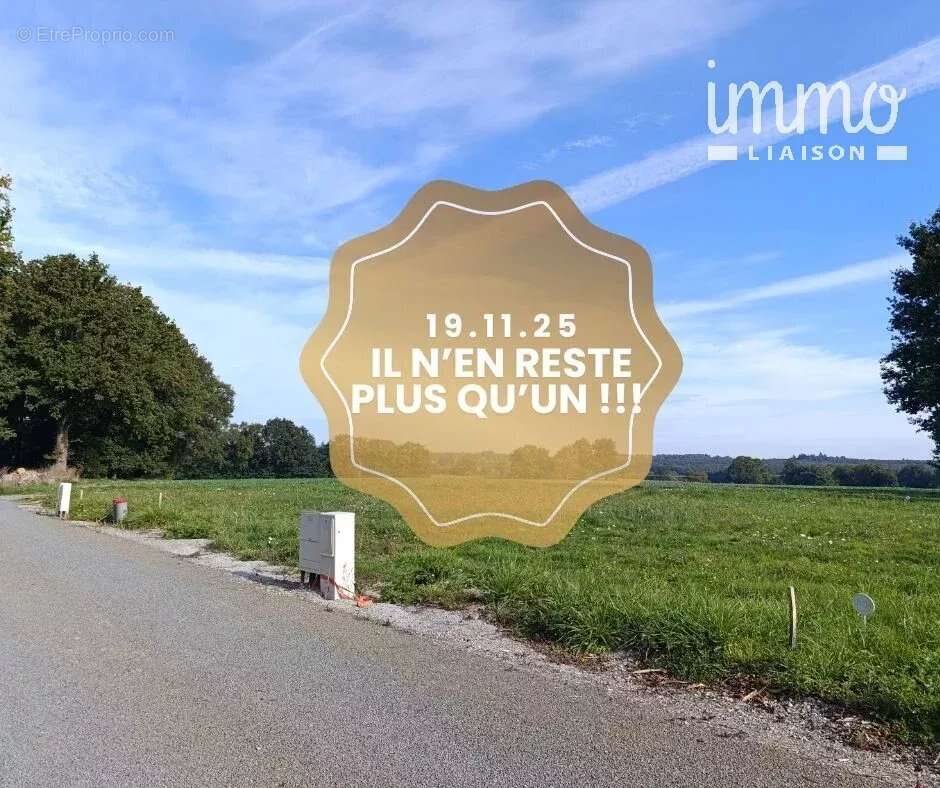 Terrain à LES BRULAIS