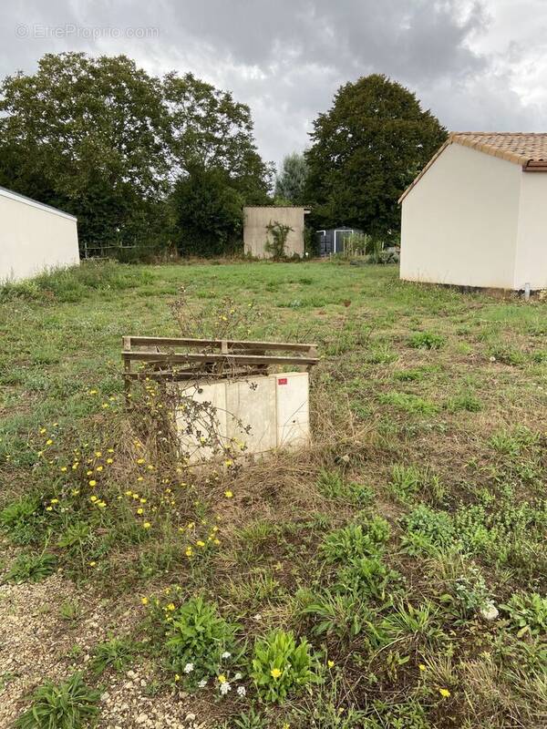 Terrain à CELLES-SUR-BELLE