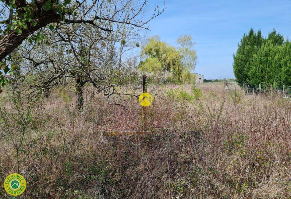 Terrain à CHATILLON-SUR-INDRE