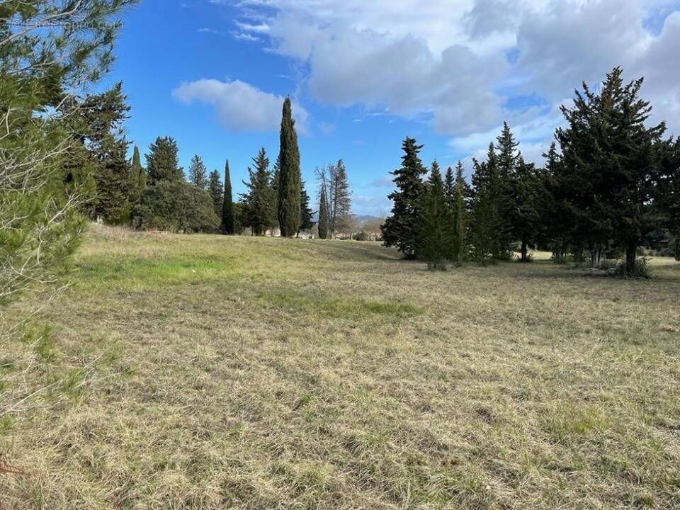 Terrain à LE TRIADOU