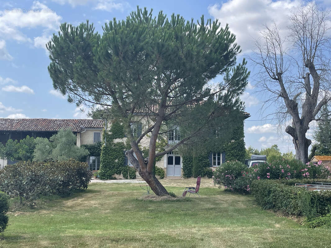 Maison à L'ISLE-EN-DODON