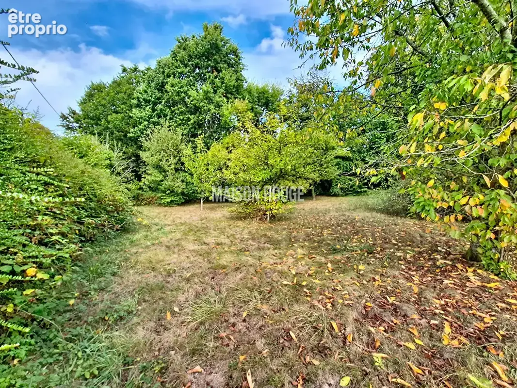 Maison en pierre 3 chambres avec jardin de 2990 m² - photo 17