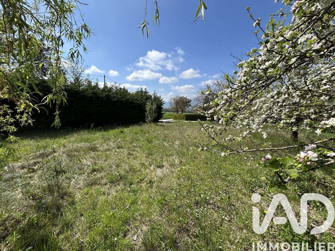 Terrain 1002 m² à Viry  - photo 4