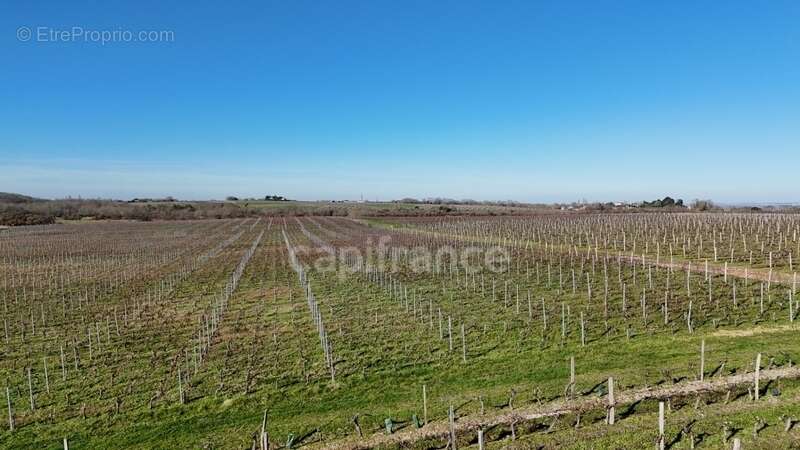 Commerce à SAINT-YZANS-DE-MEDOC