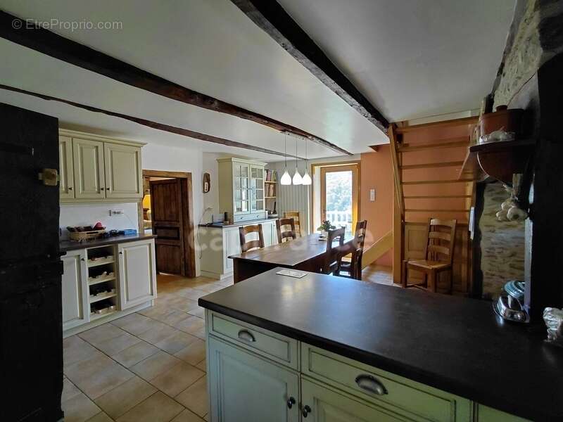 Maison à VIEILLEVIE