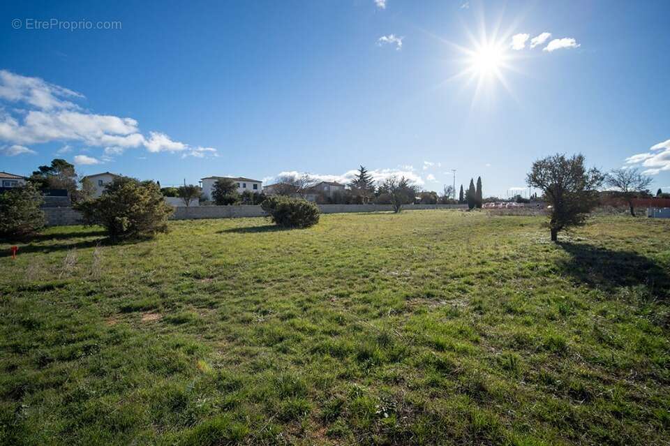 Terrain 463 m² à Poulx  - photo 2
