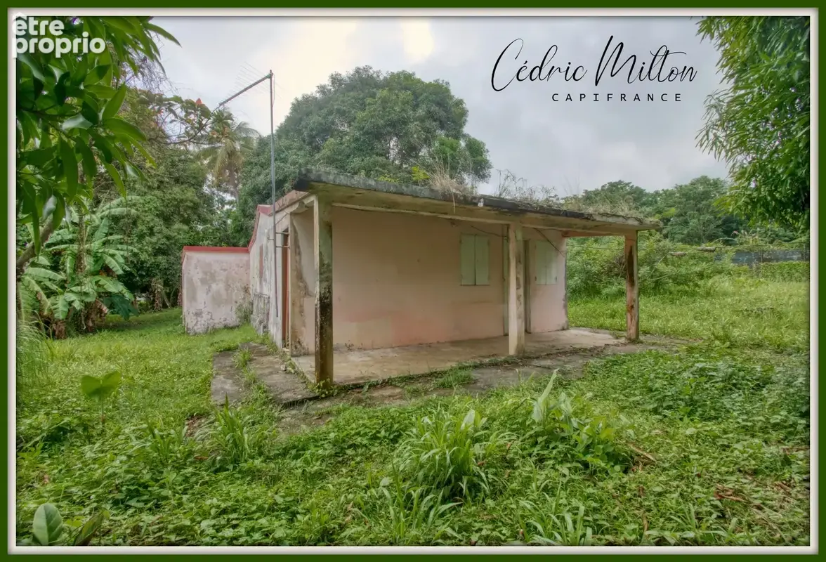 Terrain plat de 1300 m² – au Gros-Morne - photo 7