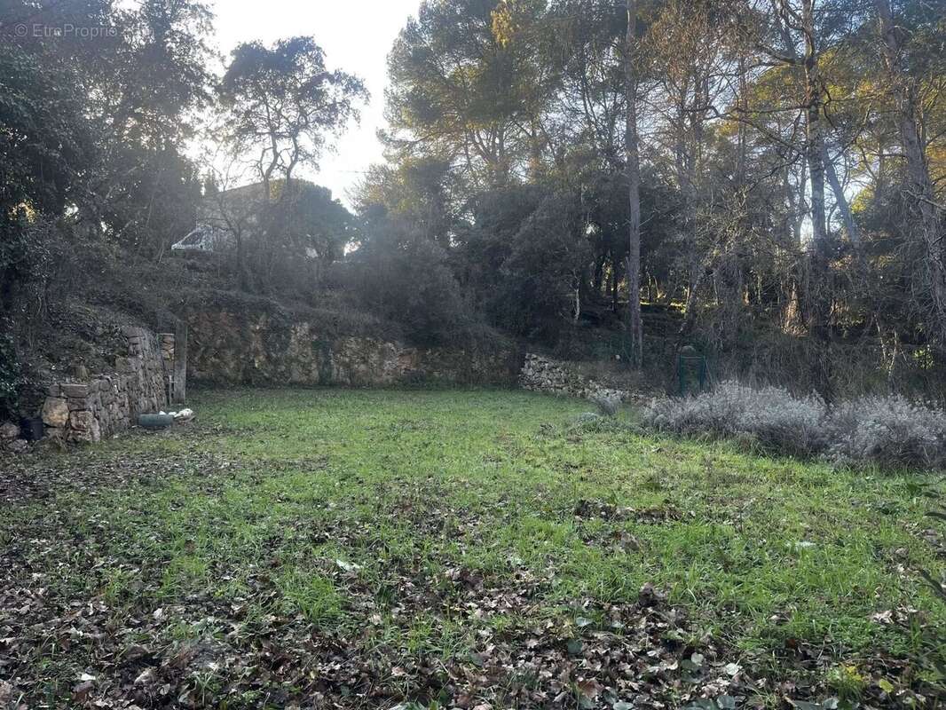 Terrain à LORGUES