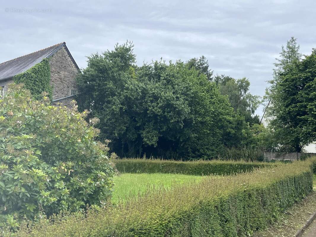 Terrain à LA VICOMTE-SUR-RANCE