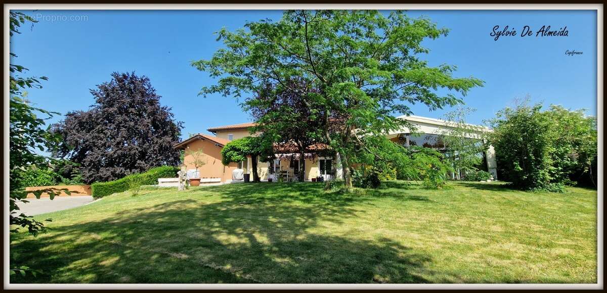 Propriete à vendre 8 pièces 285 m² REPLONGES (01), Piscine, 4 suites, double garage, terrain 2136 m² - photo 2
