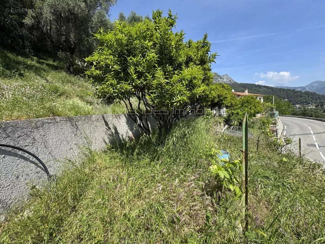 Terrain constructible a proximite de menton - photo 3