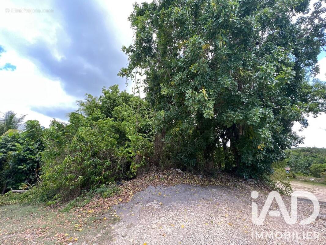 Terrain 500 m² · à Le Gosier · 500 m² · 100 000 €
