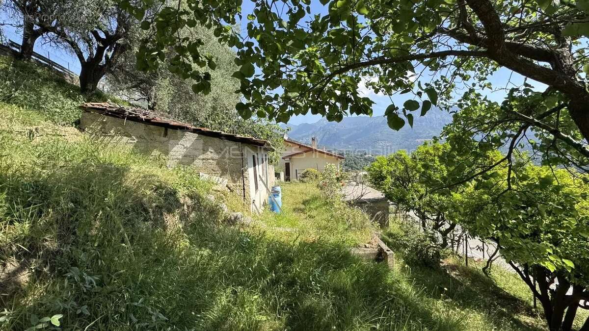 Maison a renover entierement avec terrain proche menton - photo 3