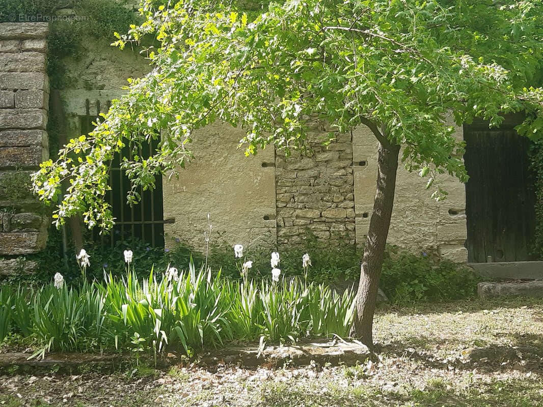 Maison à UZES