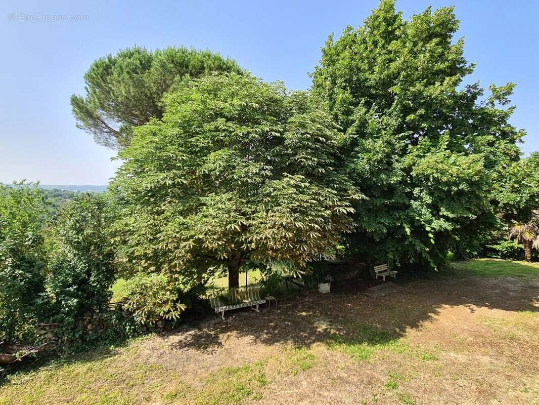 Maison à MONTASTRUC-LA-CONSEILLERE