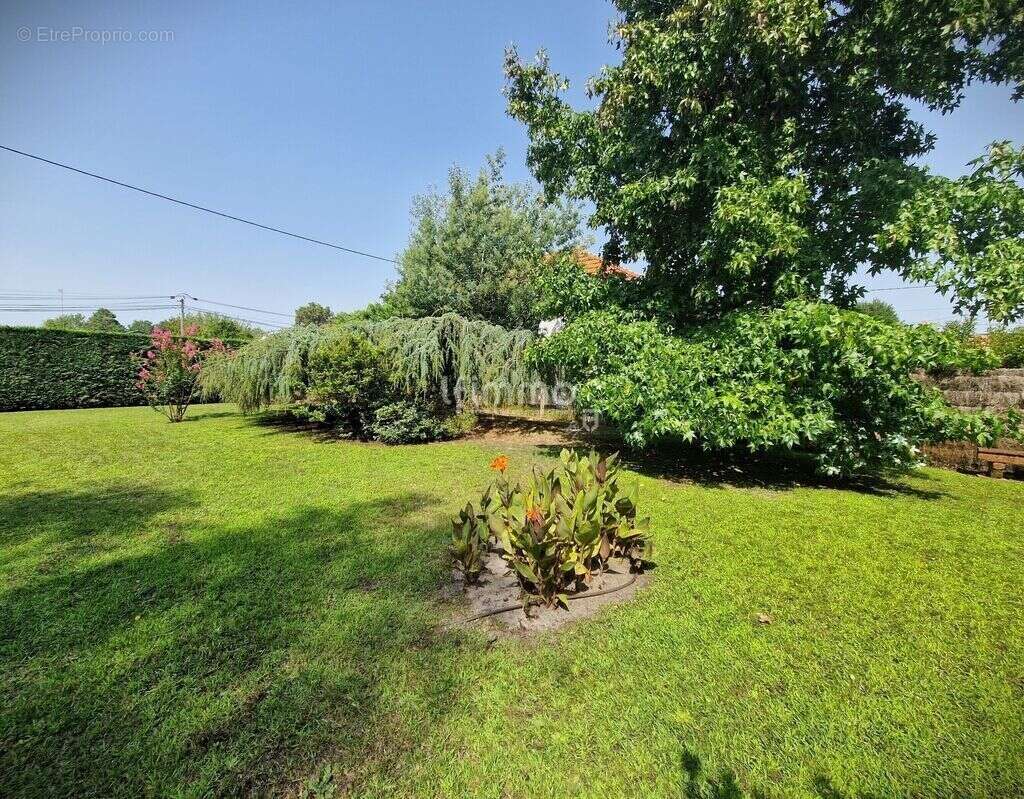 Maison à ANDERNOS-LES-BAINS