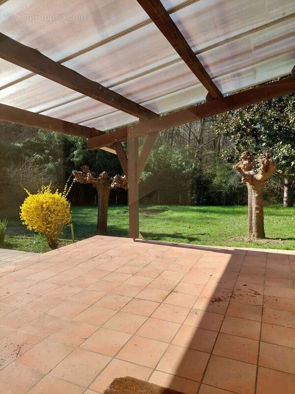 Maison à MONTESQUIEU-VOLVESTRE