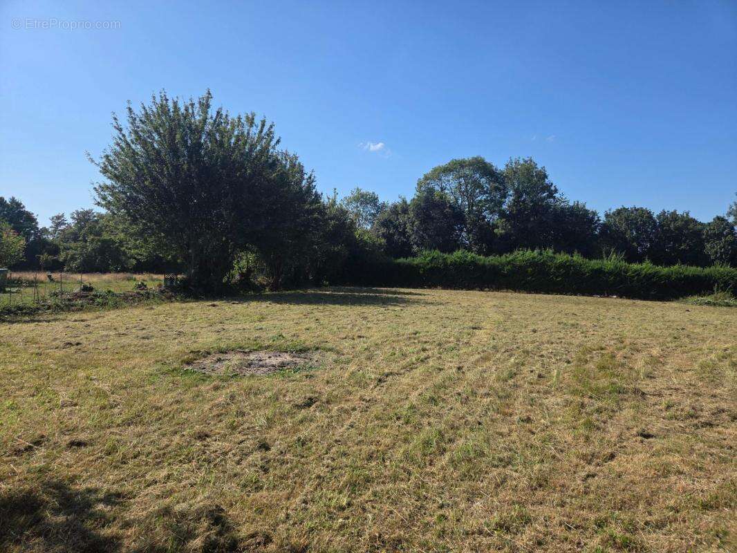 Terrain constructible à vendre 3211 M2 BONNEVILLE LA LOUVET (14) - photo 2