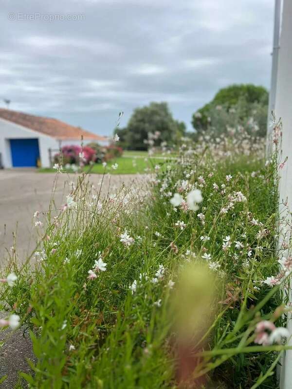Maison à SAINT-JEAN-DE-MONTS
