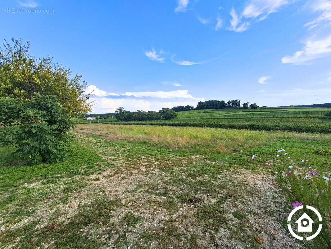 terrain - Maison à ARTHENAC