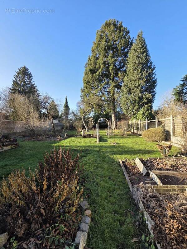 Maison à AULNOYE-AYMERIES