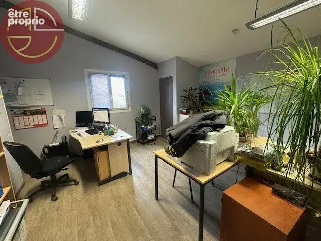 Commerce 300 m² à vendre à Saint-Jory (31790) - photo 5