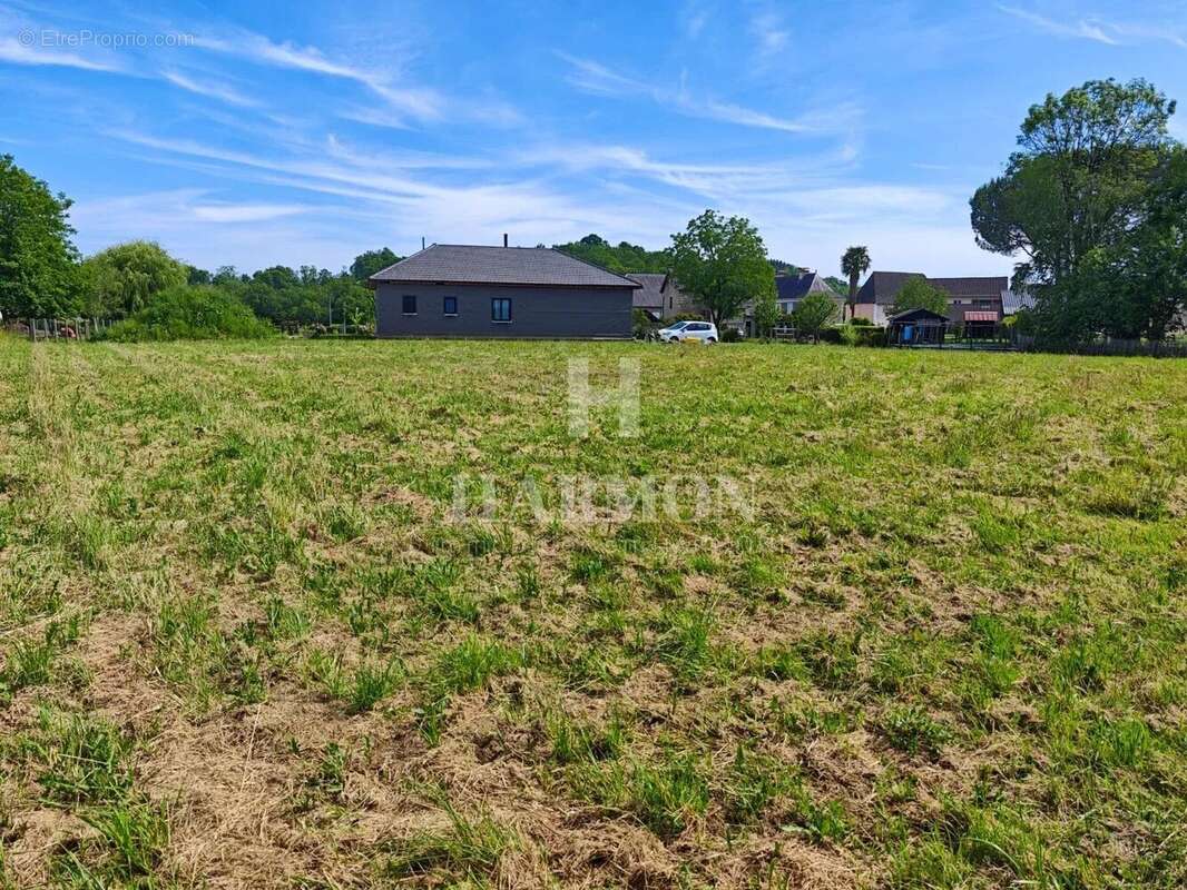 Terrain à LAHOURCADE