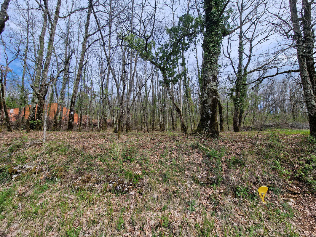 Terrain à NADAILLAC