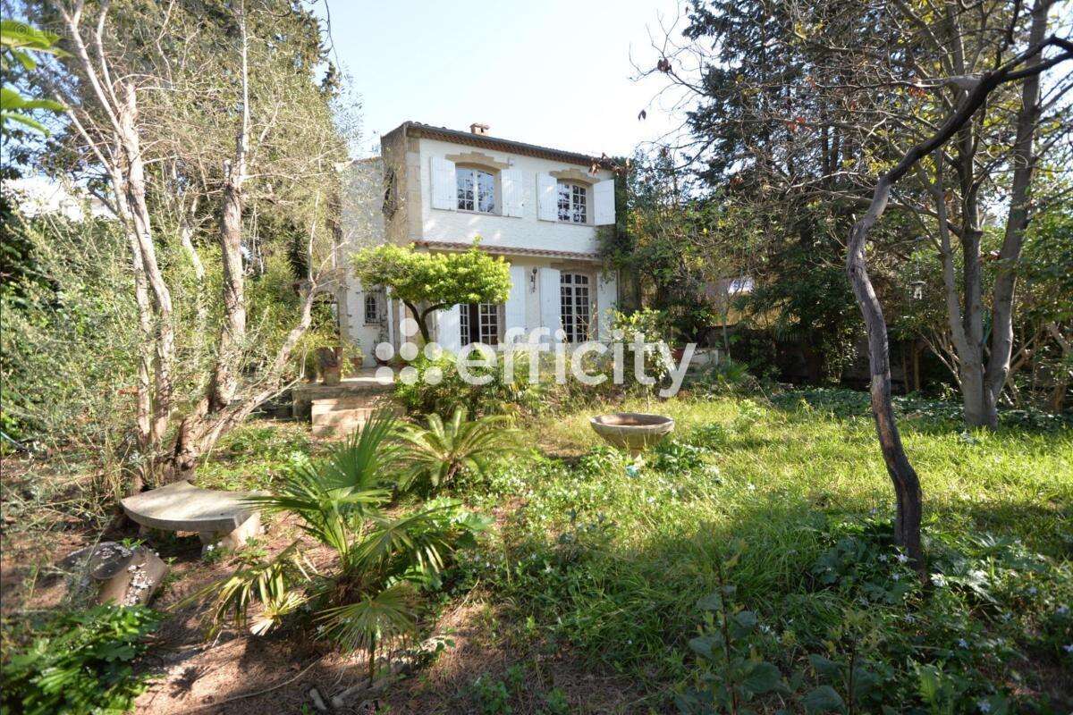 Maison à MONTPELLIER