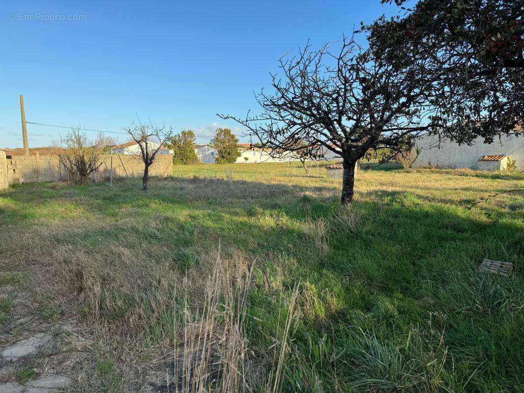 Terrain à SAINT-PIERRE-D&#039;OLERON