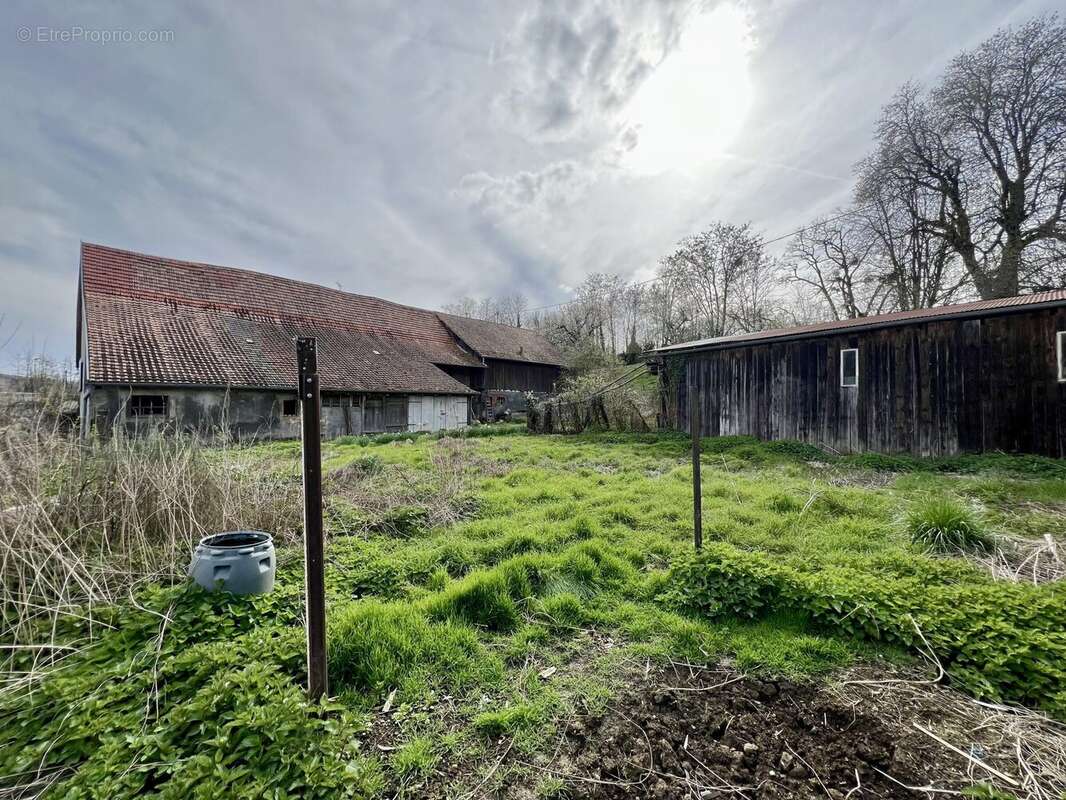 Maison à TAGOLSHEIM
