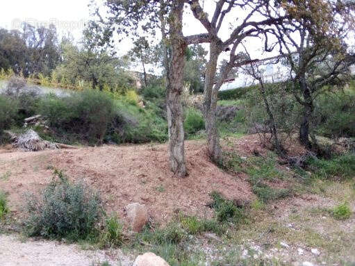 Terrain à VIDAUBAN
