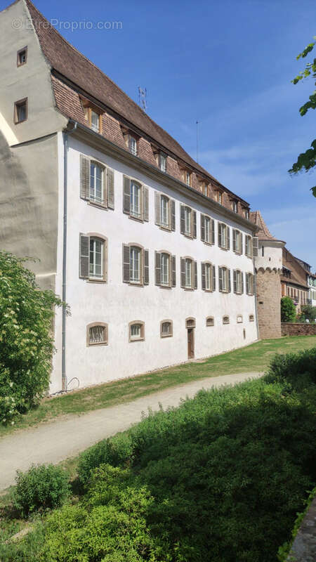 Appartement 58 m² à Obernai  - photo 6